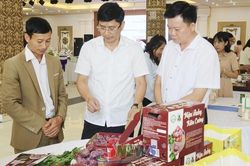 Nâng tầm giá trị sản phẩm OCOP