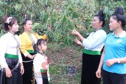 Lan tỏa mô hình '5 không, 3 sạch'