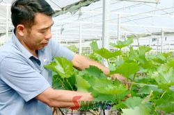 N&ocirc;ng nghiệp th&ocirc;ng minh th&iacute;ch ứng với biến đổi kh&iacute; hậu