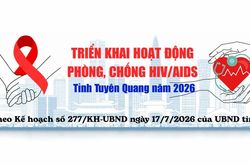 Triển khai hoạt động phòng, chống HIV/AIDS tỉnh Tuyên Quang năm 2026