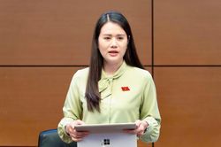 ĐBQH góp ý hoàn thiện quy định về thi tuyển phương án và chứng chỉ hành nghề kiến trúc