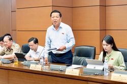 Sửa Luật Kiến trúc: Vừa bảo đảm công cụ quản lý kiến trúc cần thiết, vừa linh hoạt