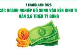 Infographics: 7 tháng, các doanh nghiệp bổ sung vào nền kinh tế gần 3,6 triệu tỷ đồng