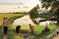 Anh có về quê mẹ với em không
