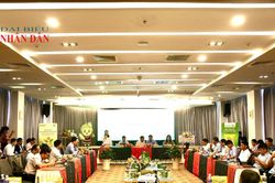 Đắk Lắk kỳ vọng Lễ hội Sầu riêng tạo động lực phát triển ngành hàng và quảng bá hình ảnh địa phương