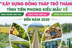 Đồng Tháp: Xây dựng kiểu mẫu về 'tam nông'