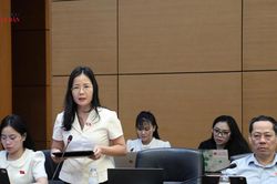 Bản sắc kiến tr&uacute;c phải gắn với kh&ocirc;ng gian sống v&agrave; k&yacute; ức cộng đồng