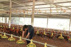 Ưu đãi thuế mở lối, tuân thủ pháp lý giữ đường cho HTX vươn xa