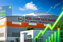 VN-Index mất gần 12 điểm nhưng một cổ phiếu vẫn 'cháy hàng', dư mua trần gần 1,2 triệu đơn vị