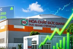 VN-Index mất gần 12 điểm nhưng một cổ phiếu vẫn 'cháy hàng', dư mua trần gần 1,2 triệu đơn vị