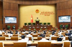Quốc hội thảo luận về việc thành lập thành phố Quảng Ninh, thành phố Bắc Ninh
