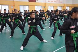 Đưa võ cổ truyền vào các trường học tại Thủ đô