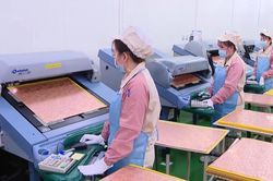 Lan tỏa c&ocirc;ng nghệ từ FDI sang doanh nghiệp trong nước