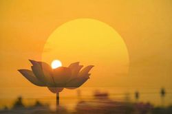 Bộ câu hỏi về lễ 'Vu Lan'
