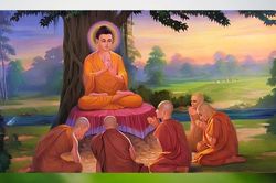 Vai trò 'dẫn đường' của bậc đạo sư