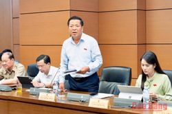 Đoàn ĐBQH tỉnh tham gia thảo luận, góp ý hoàn thiện các dự án luật, nghị quyết