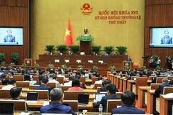 Hoàn thiện cơ chế xử lý vi phạm, khơi thông nguồn lực phát triển