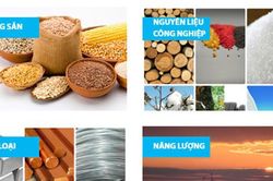 Muốn thành lập Sở giao dịch hàng hóa cần đáp ứng những điều kiện gì?