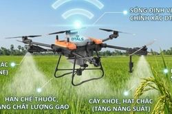 Cách mạng công nghệ cao: Lời giải cho bài toán phát triển nông nghiệp Việt