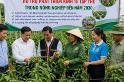 Gia Lai triển khai Đề &aacute;n Hội N&ocirc;ng d&acirc;n tham gia ph&aacute;t triển kinh tế tập thể đến năm 2030