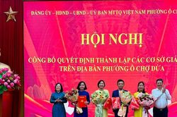 Phường Ô Chợ Dừa thành lập 4 trường công lập sau sắp xếp