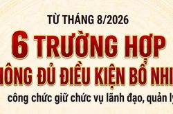 Từ tháng 8/2026: 6 trường hợp công chức không đủ điều kiện bổ nhiệm