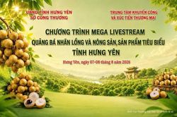 Nhiều KOL, KOC livestream quảng bá nhãn lồng Hưng Yên vào tối nay (7-8)
