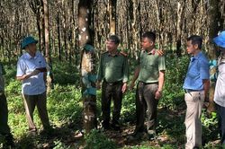 Quy định về nguyên tắc kết hợp an ninh với kinh tế - xã hội