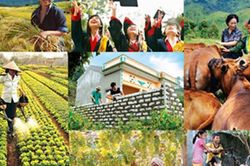 Đề xuất hợp nhất 4 chương trình mục tiêu quốc gia, tăng phân cấp cho địa phương