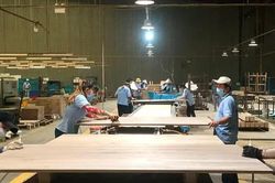 Khai mở dư địa tăng trưởng từ thị trường nội địa cho ngành gỗ