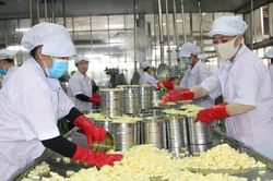 Lợi thế vàng để phát triển kinh tế đa dạng