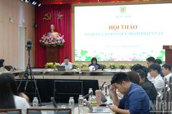 Tinh gọn, bảo đảm chất lượng hệ thống văn bản quy phạm pháp luật