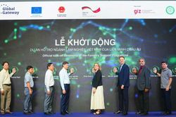 20 triệu EUR hỗ trợ phát triển rừng tại Việt Nam
