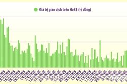 [Infographic] Chứng khoán tuần 3-7/8: Thị trường tuần đầu tháng 8 tiếp tục phục hồi, tăng điểm khá tích cực