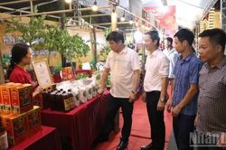 Nhiều hoạt động tại Lễ hội và xúc tiến thương mại Nhãn lồng Hưng Yên năm 2026