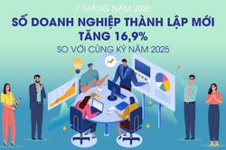 Số doanh nghiệp thành lập mới tăng 16,9% trong 7 tháng năm 2026