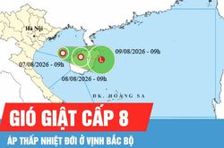 Áp thấp trên vịnh Bắc bộ mạnh lên thành áp thấp nhiệt đới
