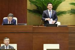 Loại trừ các dự án thương mại không phục vụ Hội nghị APEC ra khỏi phạm vi áp dụng đặc thù