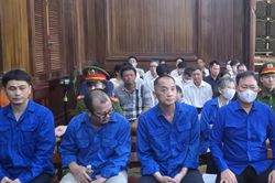 Khai thác trái phép titan, Chủ tịch Tập đoàn Hưng Thịnh lãnh 10 năm tù