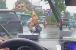 CSGT Hà Nội xuyên mưa, mở đường đưa người bị rắn cắn đi cấp cứu