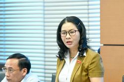 ĐBQH Nguyễn Thị Lan: Ph&acirc;n cấp đi đ&ocirc;i với chuẩn h&oacute;a trong quản l&yacute; n&ocirc;ng nghiệp