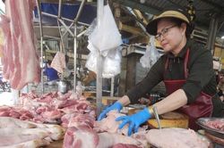 Giá heo hơi hôm nay 7/8: Lao dốc trên 3 miền, trượt xuống mốc 59.000 đồng/kg