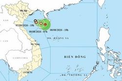 Dự báo diễn biến áp thấp nhiệt đới trên Biển Đông: Ít có khả năng mạnh lên thành bão, không đi vào đất liền nước ta