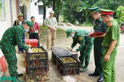 Kịp thời ngăn chặn, bắt giữ các vụ vận chuyển thực phẩm, gia cầm giống nhập lậu