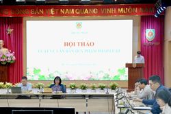 Đổi mới toàn diện Luật về văn bản quy phạm pháp luật nhằm nâng cao chất lượng hệ thống pháp luật