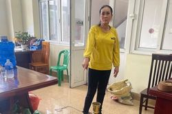 Bắt nữ đối tượng trộm lư hương tại đền thờ liệt sĩ Yên Tử