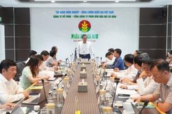 Cụm Khí - Điện - Đạm Cà Mau giữ vai trò chủ lực trong tăng trưởng của địa phương