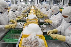 Tiến gần kỷ lục 12 tỷ USD, thế mạnh Việt đối mặt nhiều 'chông gai'
