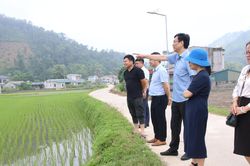 Đi qua những 'điểm nghẽn' vùng cao: Thước đo cuối cùng là sinh kế
