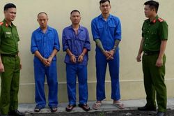 Khởi tố Khánh Sky, Vua Quạt và Hồ Văn Khoa